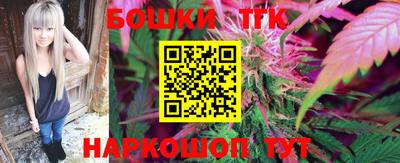 индика Балахна