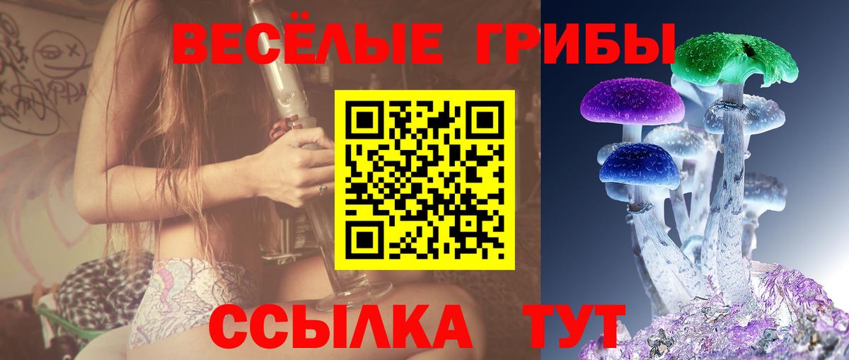 Галлюциногенные грибы GOLDEN TEACHER  Галлюциногенные грибы ЛСД  Домодедово  Вход с VPN 